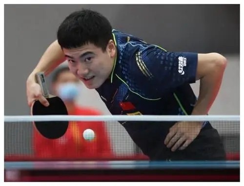 城市动物园 城市动物园